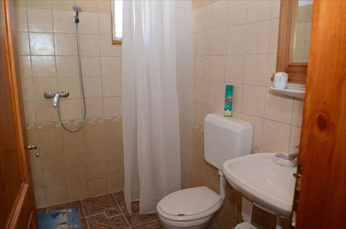 a small bathroom with a toilet and a sink at Zengőalja Vendégház in Erzsébet