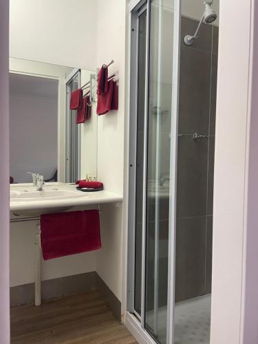 a bathroom with a glass shower and a sink at Taree Lodge Motel in Taree