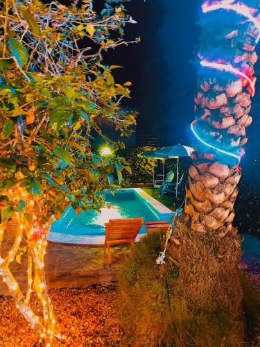 Hostal White beach