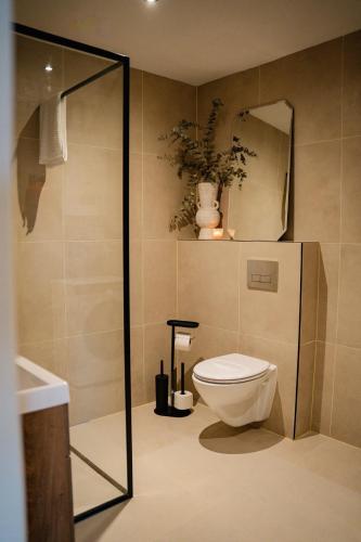 a bathroom with a toilet and a mirror at Naest - Authentic Escapes Old Town Villa Nijmegen in Nijmegen