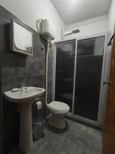 a bathroom with a shower and a toilet and a sink at Silvia Cabaña Confort in Puerto Iguazú