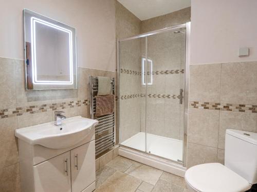 a bathroom with a shower and a sink and a toilet at Briws in Llangwm