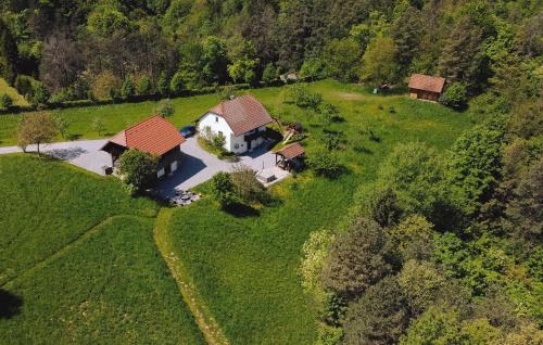 Lovely Home In Mokronog With Sauna