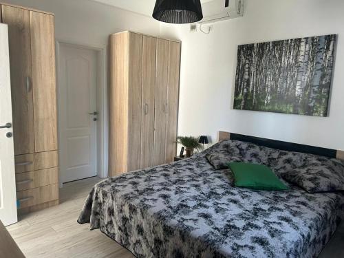 a bedroom with a bed with a green pillow on it at Bright house in Bar