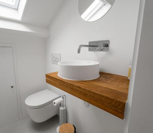 a bathroom with a sink and a toilet at Spaanse Galeien 13 in Retranchement