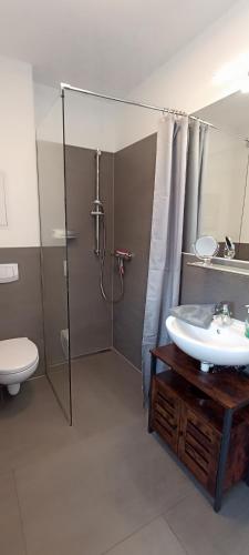a bathroom with a shower and a sink and a toilet at Juliusruh Strandparadies 3 in Juliusruh