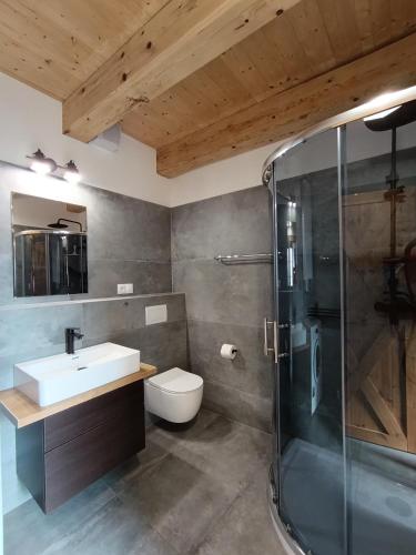a bathroom with a toilet and a sink and a shower at Otava apartments - Rezidence Valcha in Sušice