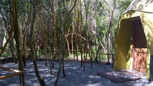 a yellow tent in the middle of a forest at Cuyinco Domos in Riñinahue