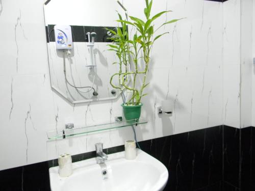a bathroom with a sink and a potted plant at Om Villa in Hikkaduwa