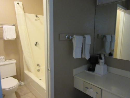 a bathroom with a white toilet and a shower at American Star Inn - Abilene in Abilene