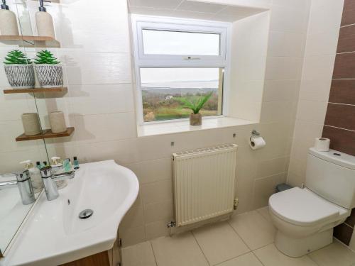a bathroom with a sink and a toilet and a window at Burry House in Swansea