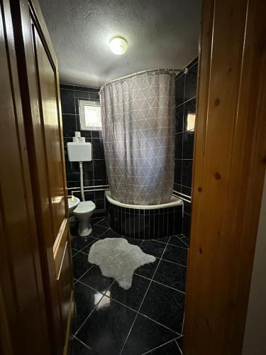 a bathroom with a shower and a toilet in it at Motel Grand in Rožaje