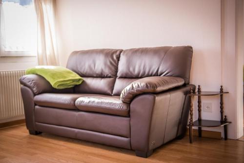 a brown leather couch with a green pillow on it at Chalet Cecile in Interlaken