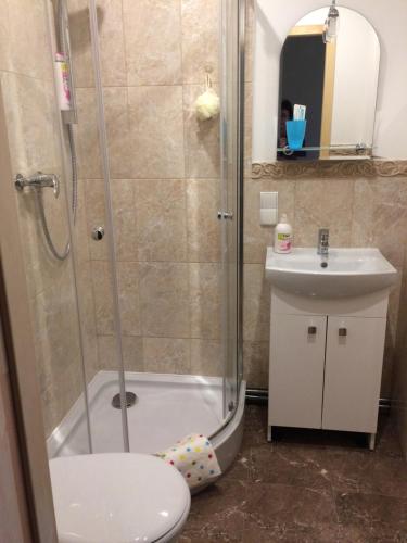 a bathroom with a shower and a toilet and a sink at Kathia Pokoje Gościnne in Katowice