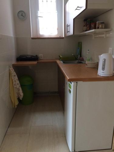 a small kitchen with a counter and a sink at Kathia Pokoje Gościnne in Katowice