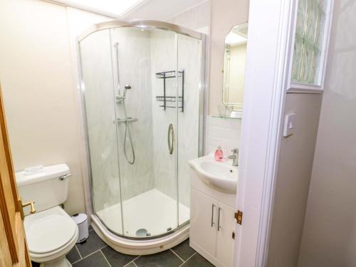 a bathroom with a shower and a toilet and a sink at Fern Cottage in Lichfield