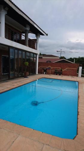 謝利比奇的住宿－Burd's Nest 215，一座大蓝色游泳池,位于房子前