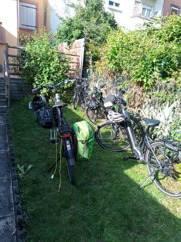 a group of bikes parked in the grass at L'OASIS maisonnette centre ville 3 chambres terrasse espace vert privé parc sainte croix center parc 20 minutes in Sarrebourg