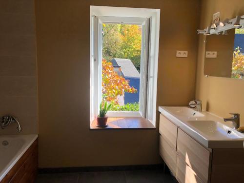 a bathroom with a sink and a window with a plant at Le Refuge du Cap in Cescau