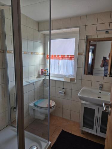 a bathroom with a toilet and a sink at Binder's Ferienhaus zur Altmühl in Leutershausen