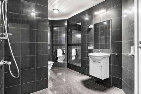 a bathroom with a shower and a toilet and a sink at Torvika Hus in Isfjorden
