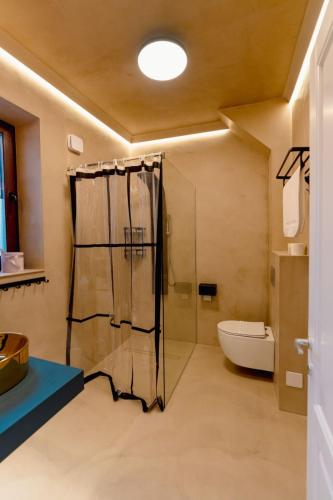 a bathroom with a shower and a toilet and a sink at Hotel&SPA 5 HILLS DRAGASANI in Drăgăşani