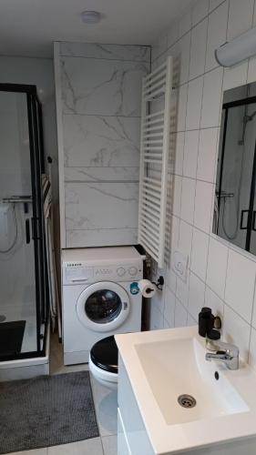 a bathroom with a washing machine and a sink at Maas Chalet Aldeneik in Maaseik