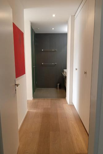 Luxury Penthouse 4 Bedroom 8 Min walk to WEF Davos