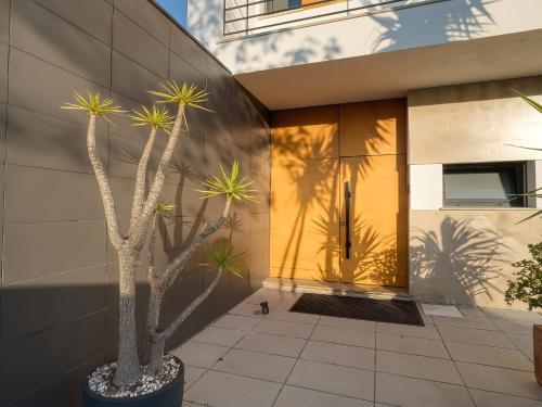 a house with two palm trees in front of a building at Maresia Villa Mar in Nazaré