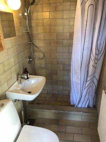 a bathroom with a sink and a shower curtain at Vejlø Skole - Degnegaarden in Næstved