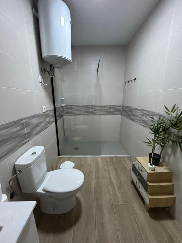 a white bathroom with a toilet and a shower at Almodovar alojamientos 1 in Almodóvar del Río