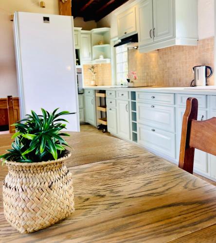 a kitchen with white cabinets and a potted plant on a table at La Longère au Fil des Saisons in Favières