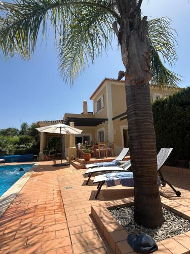 a palm tree next to a house with a swimming pool at Perfect Golf & Beach Villa for 8 people in Estômbar