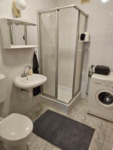 a bathroom with a shower and a toilet and a sink at BiRo-Apartments in Zalavár