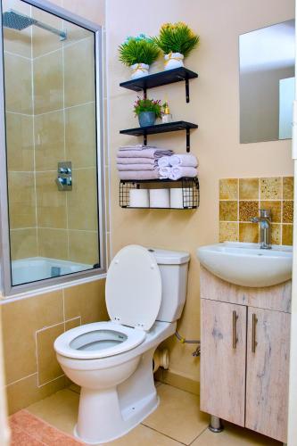 a bathroom with a toilet and a sink and a shower at Kunashe Apartments in Harare