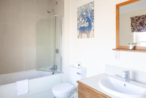 a bathroom with a sink and a toilet and a shower at The bucks head in Church Stretton