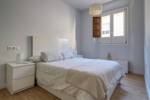 Puerta Real Apartment