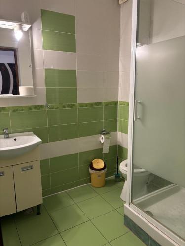 a green bathroom with a sink and a toilet at Pensiunea Alexia in Bistriţa