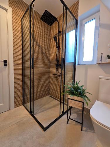 a shower with a glass door in a bathroom at REIA A-frame in Gura Râului