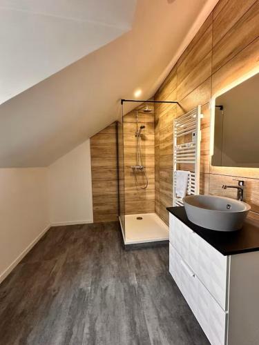 a large bathroom with a sink and a shower at Logement Pirate themed suite with parking in Vesoul