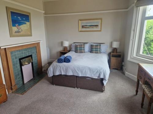 a bedroom with a bed with blue pillows and a fireplace at Airlie Gardens in Brodick