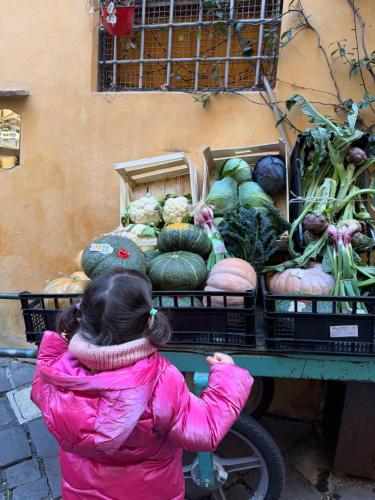 Campo de' Fiori Eleonorhouse photo 60