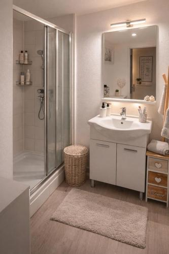 Grand appartement 5 pers avec parking proche du centre ville de Toulouse