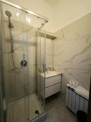 a bathroom with a shower and a sink at Chalet di città in Rome