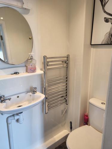 a bathroom with a sink and a toilet and a mirror at Three horse shoes in Durham