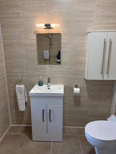 a bathroom with a white sink and a toilet at Carey's Bar & Farmhouse Kilkenny Border in Oldleighlin
