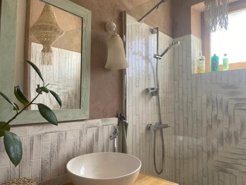 a bathroom with a shower and a white sink at Le Rucher des Arts in Alba-la-Romaine