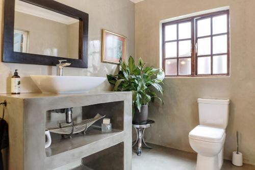a bathroom with a sink and a toilet and a mirror at Panorama View Pool House Steiltes I in Nelspruit
