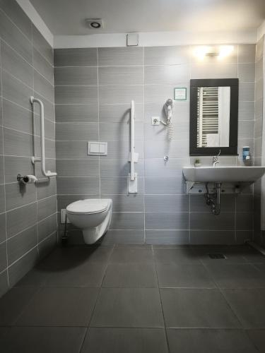 a bathroom with a toilet and a sink at Pensiunea Panorama Business Inn in Cluj-Napoca