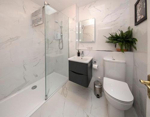 a white bathroom with a toilet and a shower at Sleepy Rock in Dungarvan